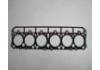 Joint de culasse Cylinder Head Gasket:DM100