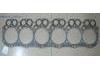 气缸垫 Cylinder Head Gasket:H06C