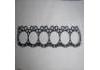 气缸垫 Cylinder Head Gasket:EL100
