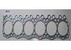 气缸垫 Cylinder Head Gasket:EM100