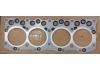 прокладка цилиндра Cylinder Head Gasket:C223/C233T